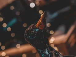 Penguin Peek Up Family -Garden Comfort Shop pengines of madigascar resized 6