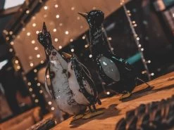 Penguin Peek Up Family -Garden Comfort Shop pengines of madigascar resized 9