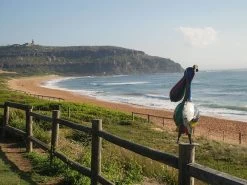 Pete The Pelican Drinks Tub 23 Pete The Pelican Drinks Tub -Garden Comfort Shop pete the pelican e40121 lifestyle 1 xl