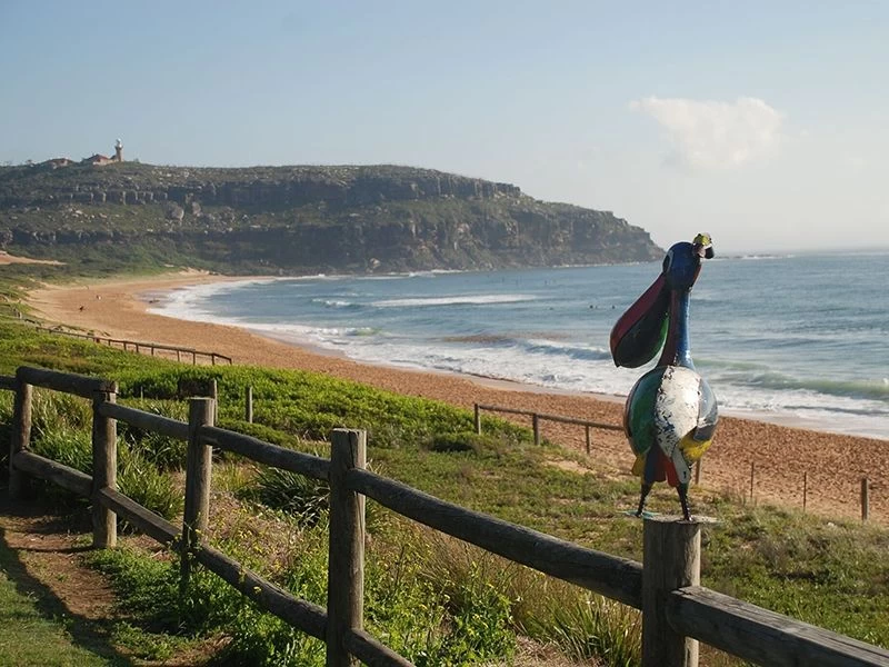 Pete The Pelican Drinks Tub 11 Pete The Pelican Drinks Tub - Image 9