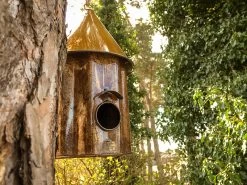 Bird Shanty 9 Bird Shanty -Garden Comfort Shop photo 14 03 2022 12 07 21 2