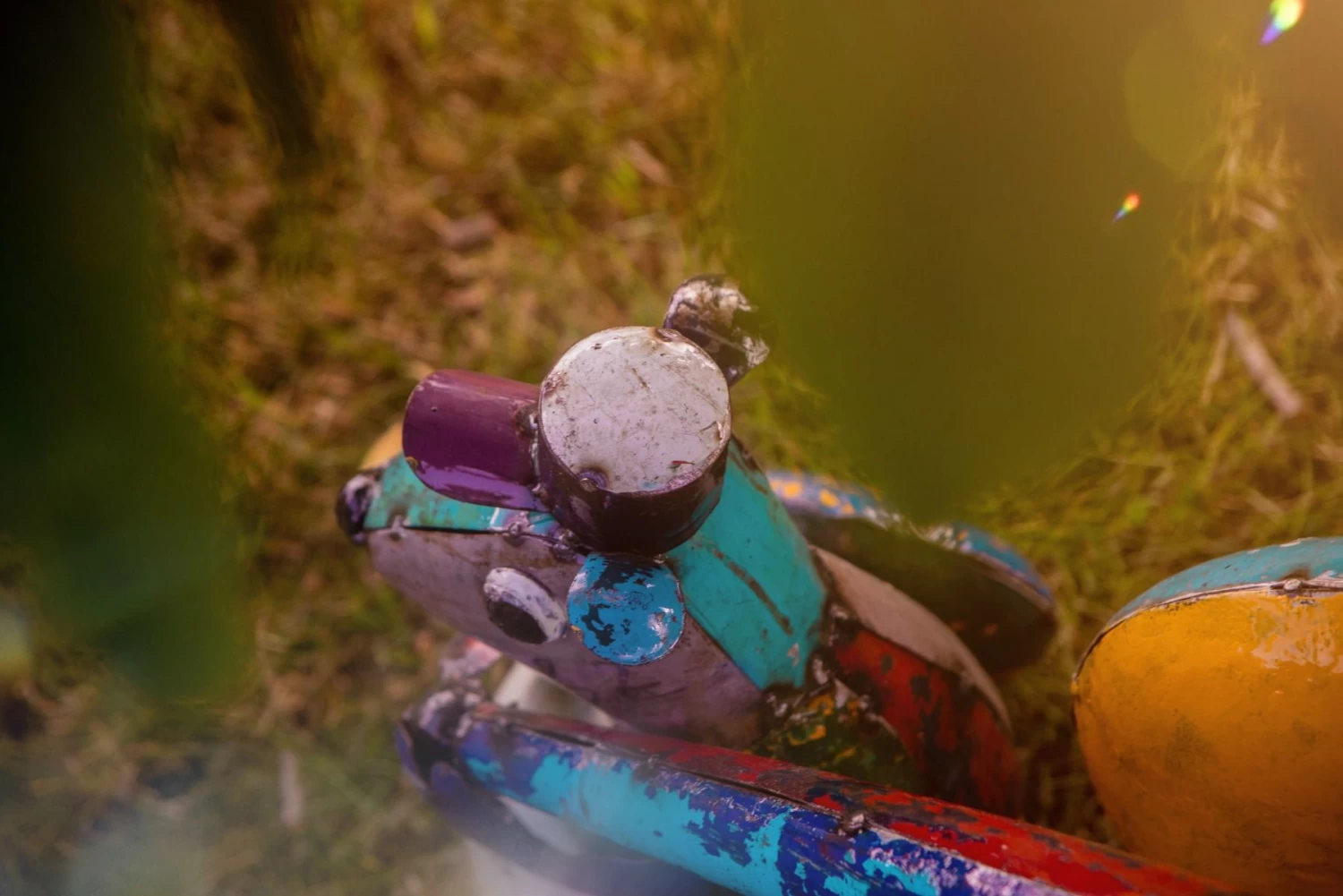 Stan The Baseball Squirrel 9 Stan The Baseball Squirrel - Image 7