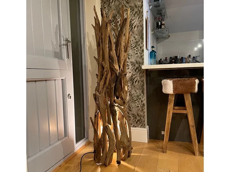 Root Floor Spotlight 6 Root Floor Spotlight - Image 4