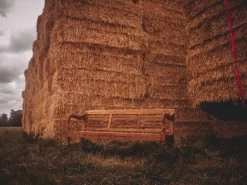 Repro Teak Bench 34 Repro Teak Bench -Garden Comfort Shop repo bench resized 12 1