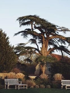 Rochester 1.5M Bench | FSC® Certified 38 Rochester 1.5M Bench | FSC® Certified -Garden Comfort Shop rochester bench 1 xl 3