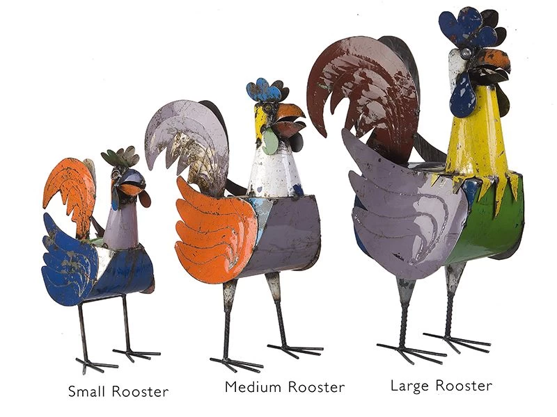 Rooster Family 5 Rooster Family - Image 3