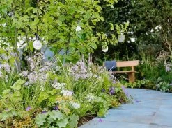 Romance Teak Bench | FSC® Certified 27 Romance Teak Bench | FSC® Certified -Garden Comfort Shop romancebench 5bi