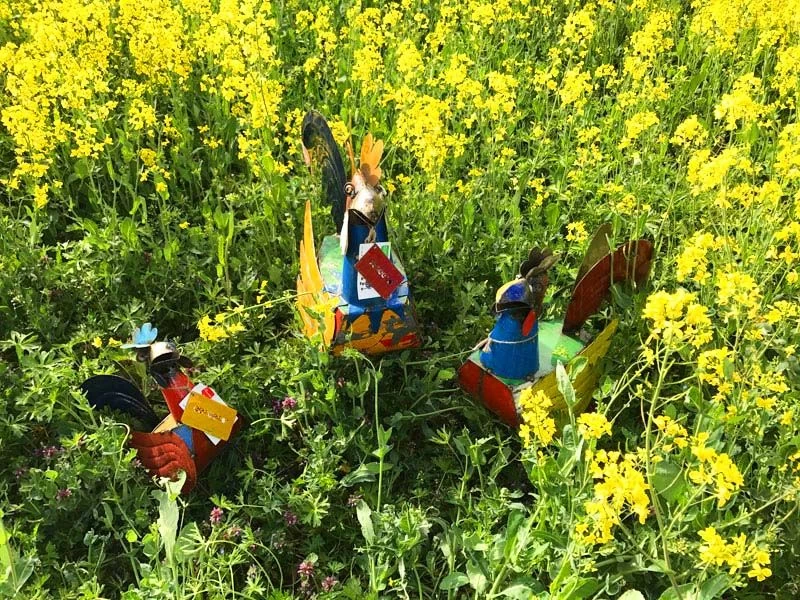 Rooster Family 4 Rooster Family - Image 2