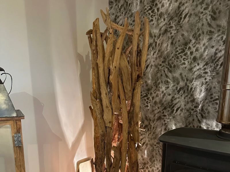 Root Floor Spotlight 5 Root Floor Spotlight - Image 3