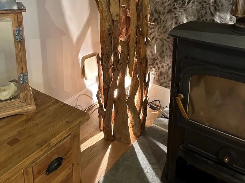 Root Floor Spotlight 4 Root Floor Spotlight - Image 2