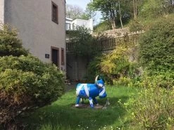 Bruce The Bull Cooler - Scotland 21 Bruce The Bull Cooler - Scotland -Garden Comfort Shop scot bull 1 xl