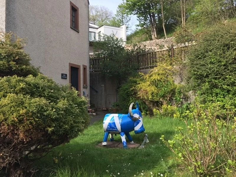 Bruce The Bull Cooler - Scotland 12 Bruce The Bull Cooler - Scotland - Image 10