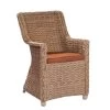 Montana Dining Chair -Garden Comfort Shop seville armchair water hyacinth xl 3 xl