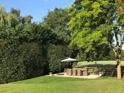 Seville 8 Chair Dining Set | PRE ORDER 16 Seville 8 Chair Dining Set | PRE ORDER -Garden Comfort Shop seville sum 8 oval set4 1