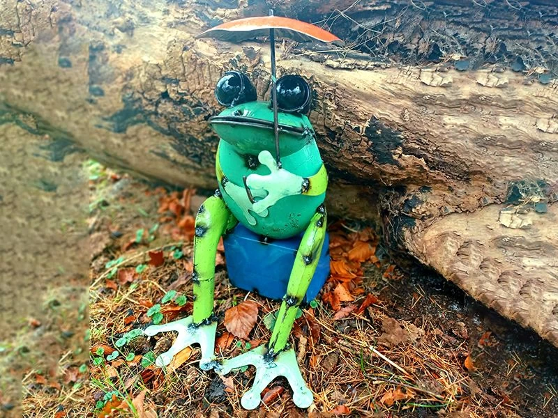 Sitting Frog With Umbrella 3 Sitting Frog With Umbrella