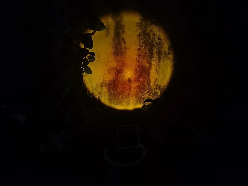 Sunset Solar Garden Light 14 Sunset Solar Garden Light - Image 12