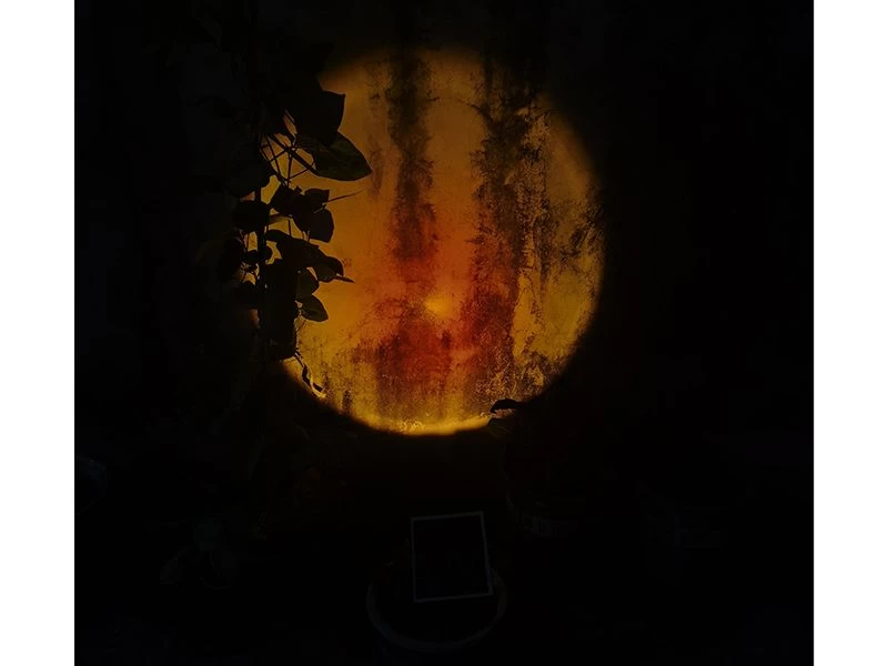 Sunset Solar Garden Light 15 Sunset Solar Garden Light - Image 13