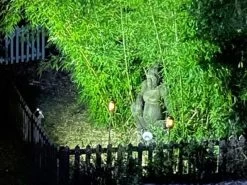 Solar LED Wall Lamp -Garden Comfort Shop sola lamp 6