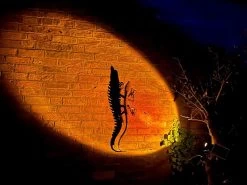 Sunset Solar Garden Light 25 Sunset Solar Garden Light -Garden Comfort Shop solar 3 bi