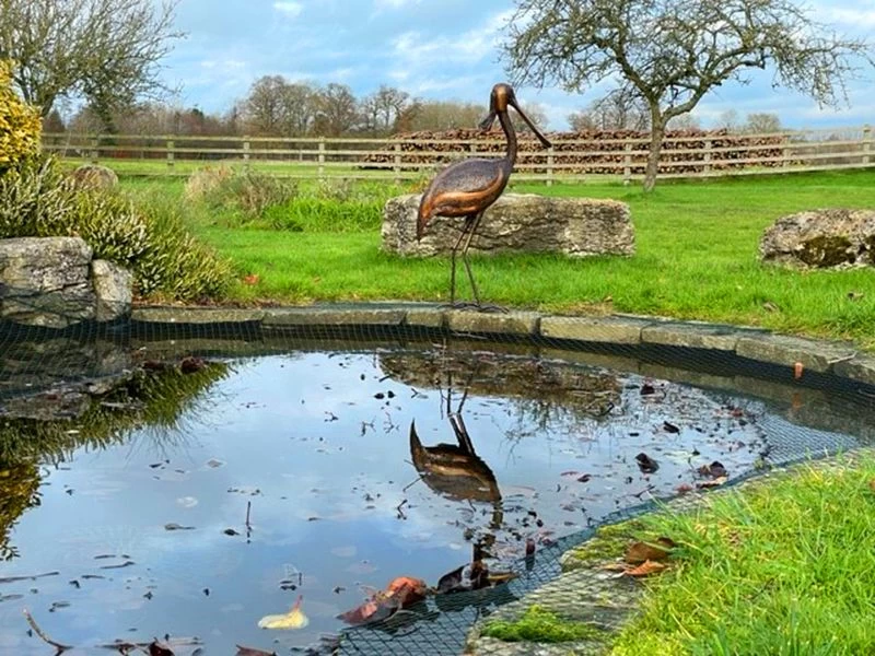 Spoonbill Standing 4 Spoonbill Standing - Image 2