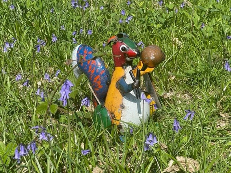 Simon The Slingshot Squirrel 7 Simon The Slingshot Squirrel - Image 5