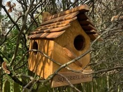 Rustic Oak Squirrel Box