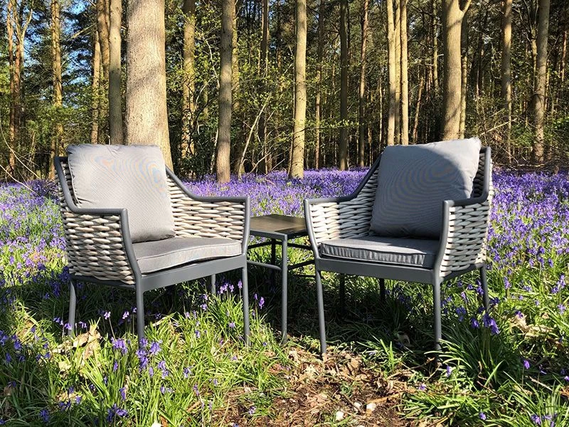 Tahiti Dining Chair 4 Tahiti Dining Chair - Image 2