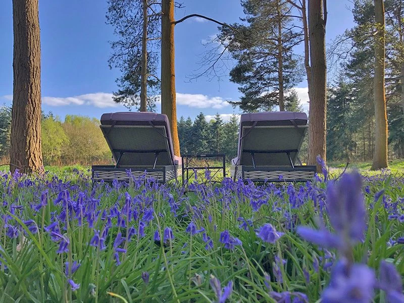 Tahiti Sun Lounger Set 4 Tahiti Sun Lounger Set - Image 2