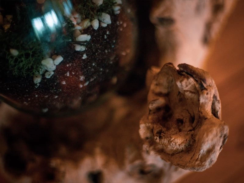 Teak Root Stand With Blown Glass Holder 8 Teak Root Stand With Blown Glass Holder - Image 6