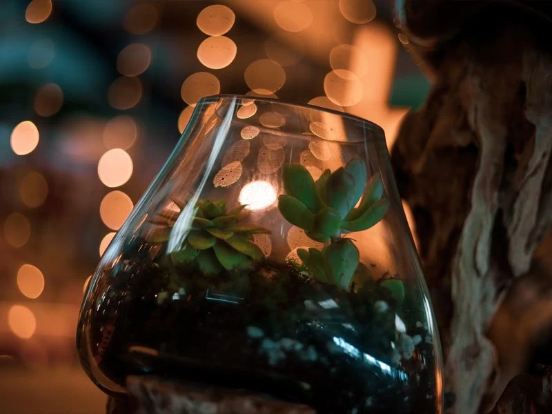 Teak Root Stand With Blown Glass Holder 9 Teak Root Stand With Blown Glass Holder - Image 7