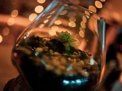 Teak Root Stand With Blown Glass Holder 21 Teak Root Stand With Blown Glass Holder -Garden Comfort Shop terrerium resized 5