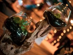 Teak Root Stand With Blown Glass Holder