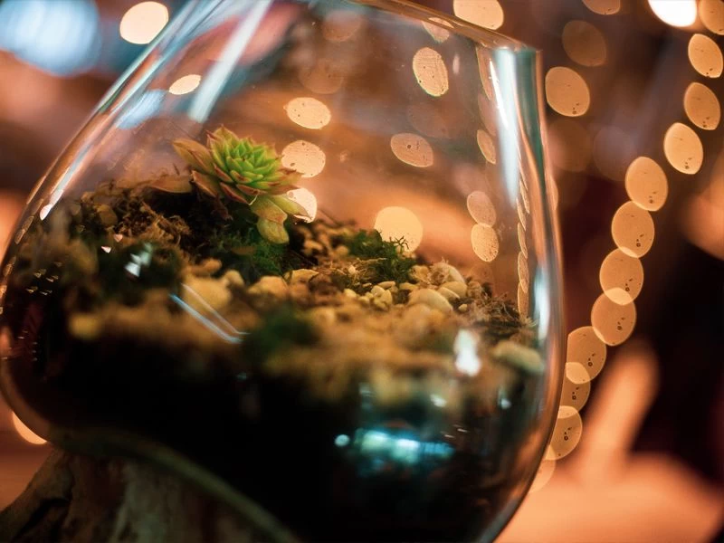 Teak Root Stand With Blown Glass Holder 10 Teak Root Stand With Blown Glass Holder - Image 8