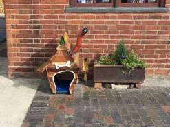 The Shack Dog House 11 The Shack Dog House -Garden Comfort Shop theshackdoghouse 7bi