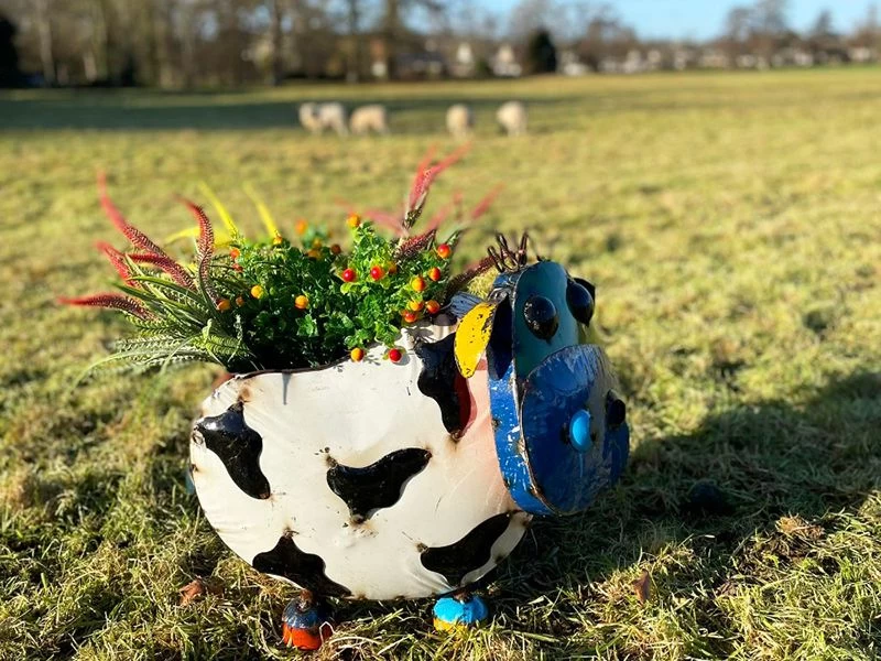 Barnyard Cow Planter 7 Barnyard Cow Planter - Image 5