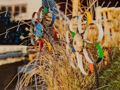 Barnyard Daisy -Garden Comfort Shop think 533 4 xl