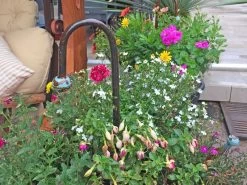 Singing In The Rain | Umbrella Stand -Garden Comfort Shop umbrella thinkoutside 13