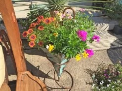 Singing In The Rain | Umbrella Stand -Garden Comfort Shop umbrella thinkoutside 9