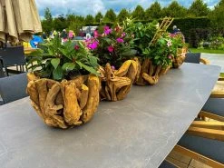 Villa Bowl 18 Villa Bowl -Garden Comfort Shop villa bowl bi 2