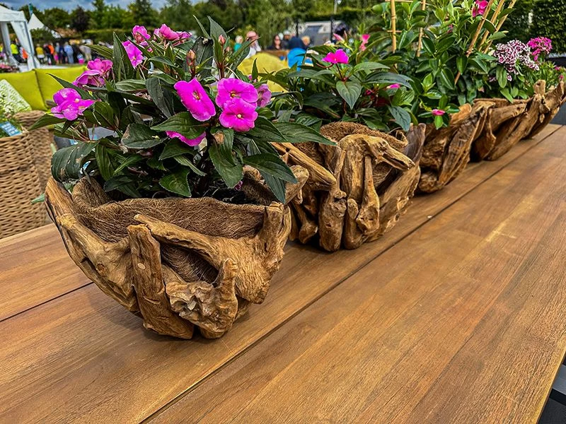 Villa Bowl 5 Villa Bowl - Image 3