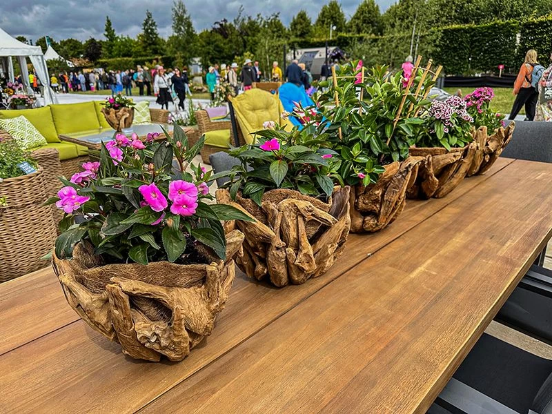 Villa Bowl 9 Villa Bowl - Image 7