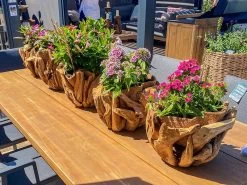 Villa Bowl 19 Villa Bowl -Garden Comfort Shop villa bowl bi 6