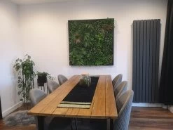 Living Wall Tile | Small Green | 50cm X 50cm -Garden Comfort Shop wall frame 3 bi 6