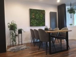 Living Wall Tile | Belgium | 1m X 1m 36 Living Wall Tile | Belgium | 1m X 1m -Garden Comfort Shop wall frame 4 bi 4