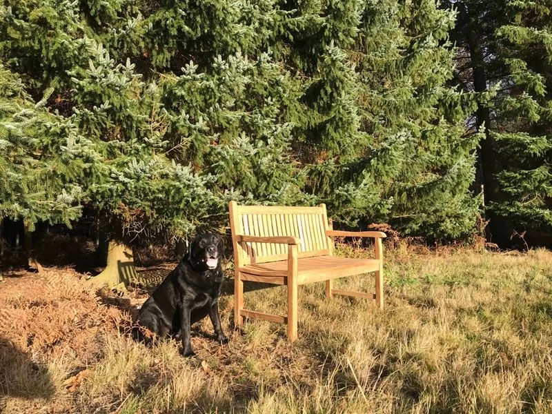 Westminster Bench 1.2m 7 Westminster Bench 1.2m - Image 5