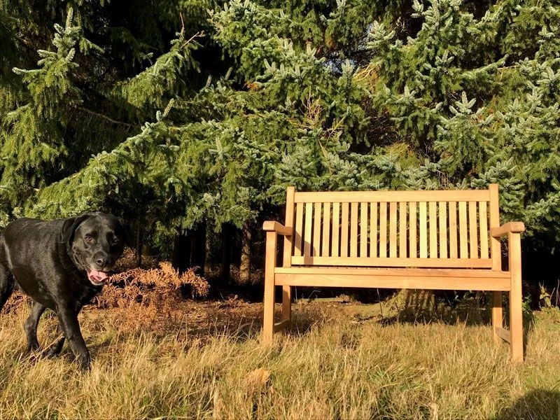 Westminster Bench 1.2m 17 Westminster Bench 1.2m - Image 15