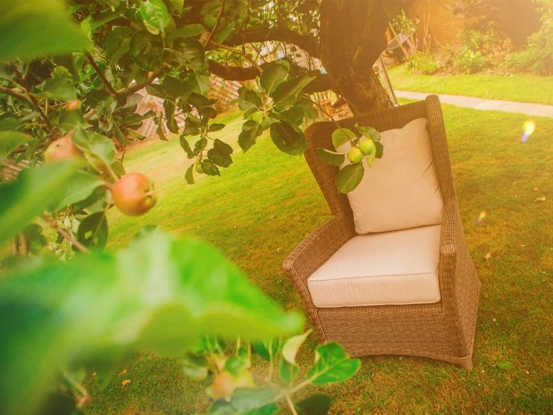 Martine Wing Back Chair 15 Martine Wing Back Chair - Image 13