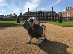 Winston The Bull Dog 14 Winston The Bull Dog -Garden Comfort Shop winston1