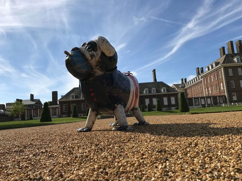 Winston The Bull Dog 8 Winston The Bull Dog - Image 6