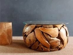 Xilon Root Coffee Table
